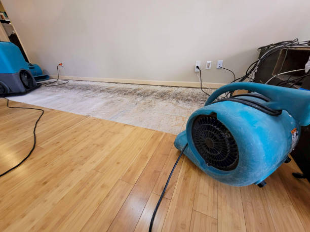 Professional Water Removal technician working in Santa Ysabel, CA